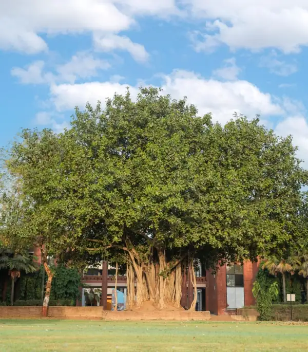 Green campus facilities at Nalanda School Vadodara