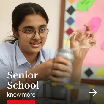 Senior school students following the ISC curriculum